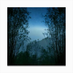 Firefly 8k, Top Quality, Live Action, Center, Dark, Night, Midnight, Starry Sky, Bamboo, Dense, Fog, (1) Canvas Print