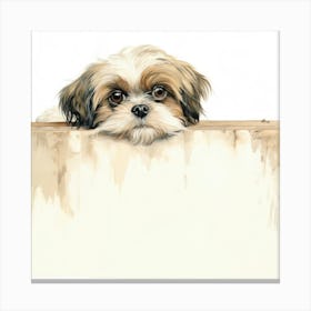 Shih Tzu 11 Canvas Print