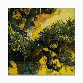 Olive Tree Canvas Print