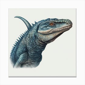 Iguana Canvas Print