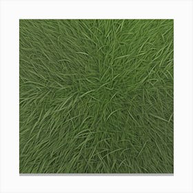 Grass Background 40 Canvas Print