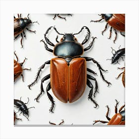 Beetle 1 Canvas Print