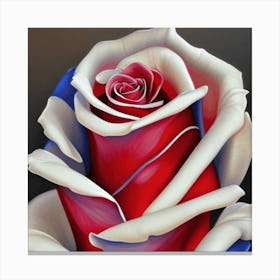 Red White And Blue Rose Canvas Print