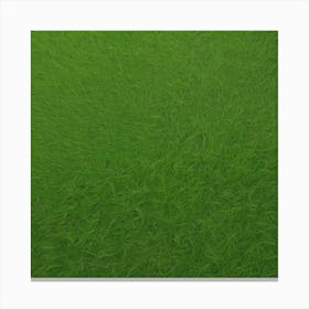 Grass Background Canvas Print