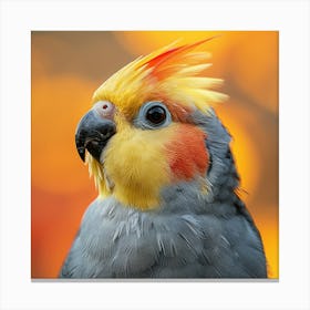 Cockatiel 12 Canvas Print