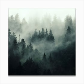 Misty Forest Canvas Print