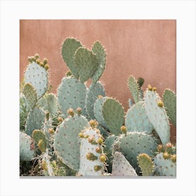 Cactus Near House Canvas Print