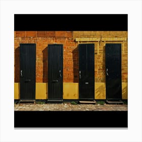 Black Doors Canvas Print