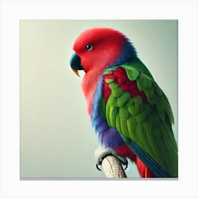 Colorful Parrot 3 Canvas Print