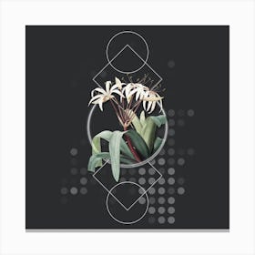 Vintage Crinum Erubescens Botanical with Geometric Line Motif and Dot Pattern n.0247 Canvas Print
