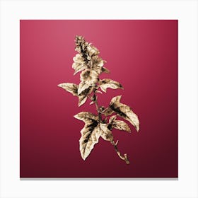 Gold Botanical Tree Mallow on Viva Magenta Canvas Print