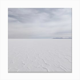 White Vast Nothingness Canvas Print