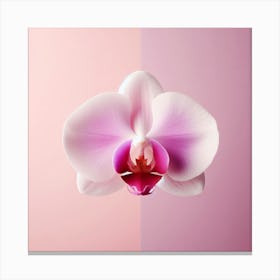 Flower of Orchid Canvas Print