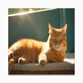 Orange Tabby Cat Canvas Print