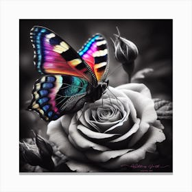 Butterfly On Rose Canvas Print