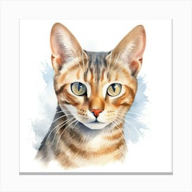 Thai Cat Portrait 2 Canvas Print