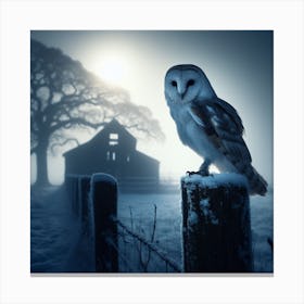 Barn Owl In The Snow Canvas Print