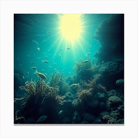 Underwater Coral Reef5 Canvas Print