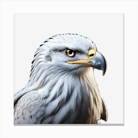 Eagle 1 Canvas Print