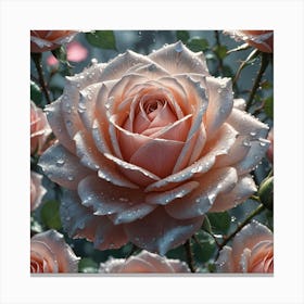 Pink Roses In The Rain Canvas Print