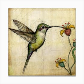 Hummingbird 1 Canvas Print