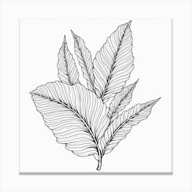 Hibiscus Leaf Canvas Print