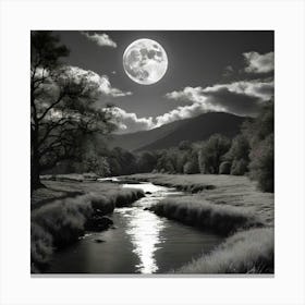 Moonlit Night Canvas Print