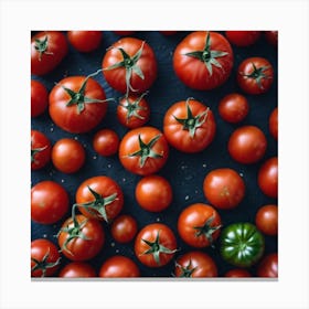 Tomatoes On A Black Background 1 Canvas Print