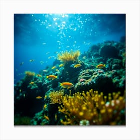 Coral Reef2 Canvas Print