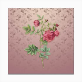 Vintage Turnip Roses Botanical on Dusty Pink Pattern Canvas Print