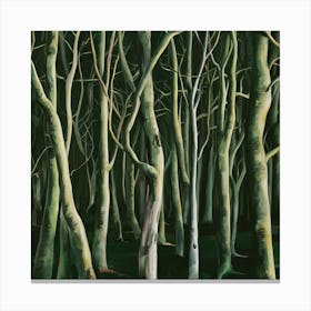 Forest Of Trees 5 Canvas Print