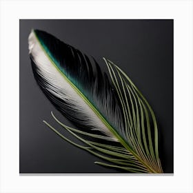 Black And White Feather Canvas Print