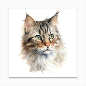 Brazilian Shorthair Longhair Cat Portrait 1 Canvas Print