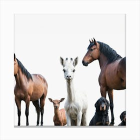 Group Of Horses, Transparent Png Download Canvas Print