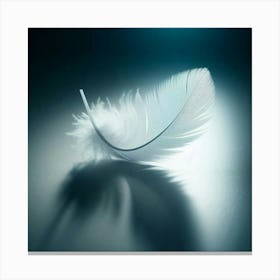 White Feather Canvas Print