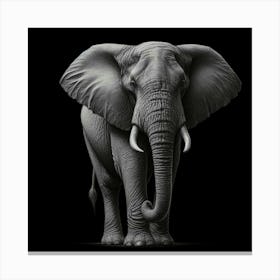 Elephant In Black And White 3 Canvas Print