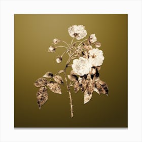 Gold Botanical Adelia Aurelianensis on Dune Yellow n.3539 Canvas Print