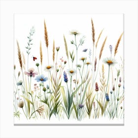 Meadow 1 Canvas Print