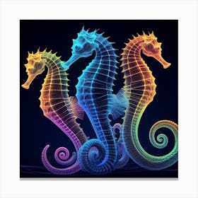 Three Seahorses Canvas Print