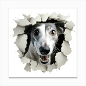 Greyhound Canvas Print