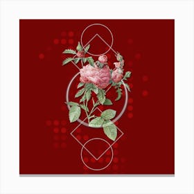 Vintage Cabbage Rose Botanical with Geometric Line Motif and Dot Pattern n.0287 Canvas Print