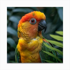 Colorful Parrot 19 Canvas Print