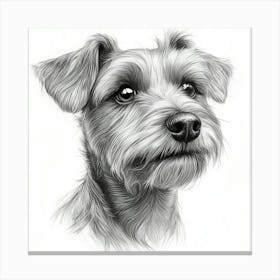 Lakeland Terrier 1 Canvas Print