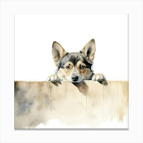 Swedish Vallhund Dog 2 Canvas Print