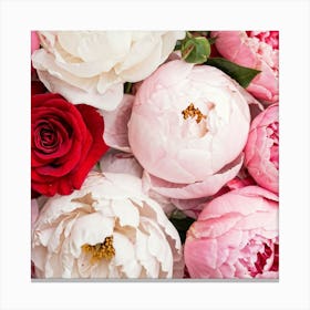 Peonies 2 Canvas Print