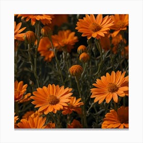 Orange Flowers Canvas Print