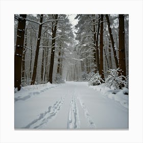 Snowy Path In The Woods Canvas Print