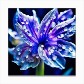 Blue Flower With Water Droplets Canvas Print
