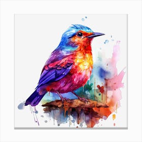 Colorful Bird 4 Canvas Print