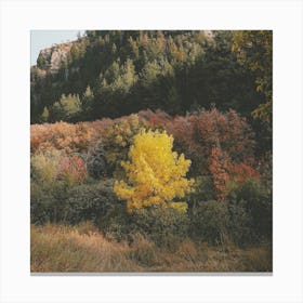 Yellow Forest Tree Canvas Print